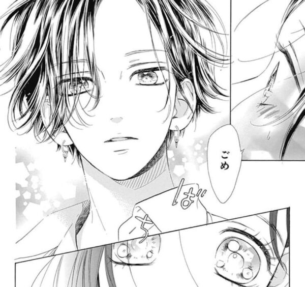 ハニーレモンソーダ16巻は漫画バンク Zip Rarにない 無料で全ページ読む方法を調査 Comifo